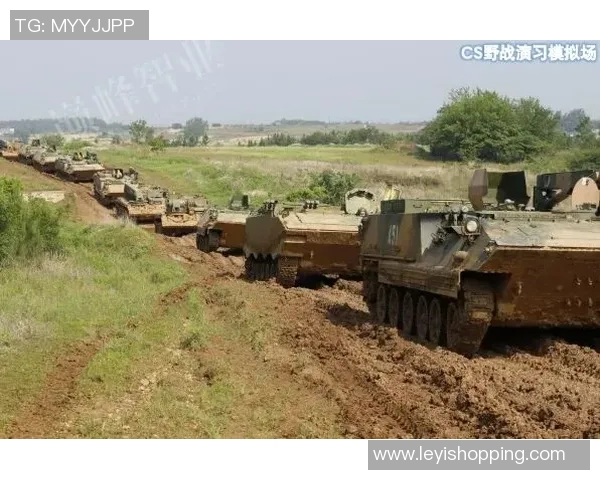 LNG战队边路渗透战术解析与实战应用探讨