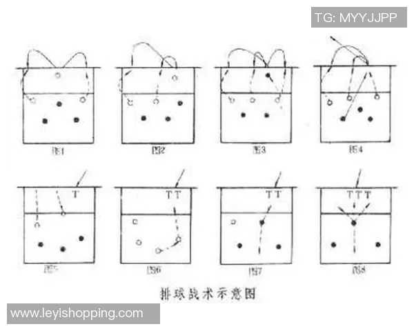 排球新手必看：快速掌握基本技巧与战术的全面指南