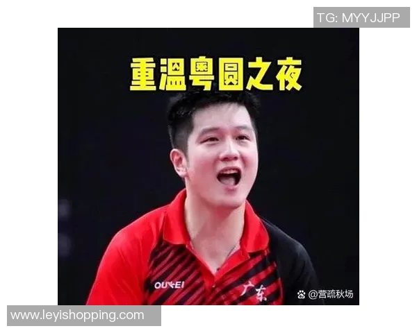 杭州乒乓球队状态引发热议球迷与专家观点大相径庭